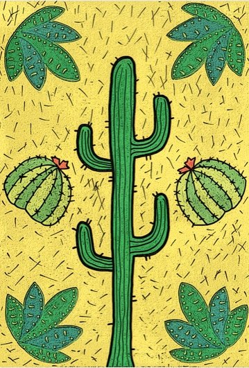 Illustrations originales 