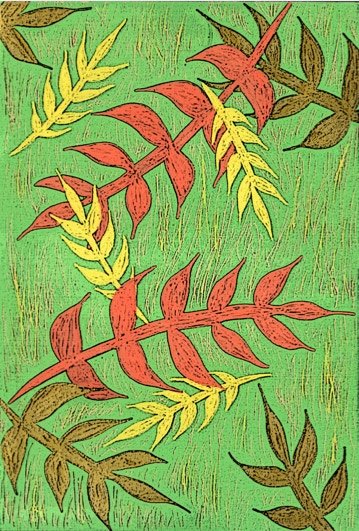 Illustrations originales 